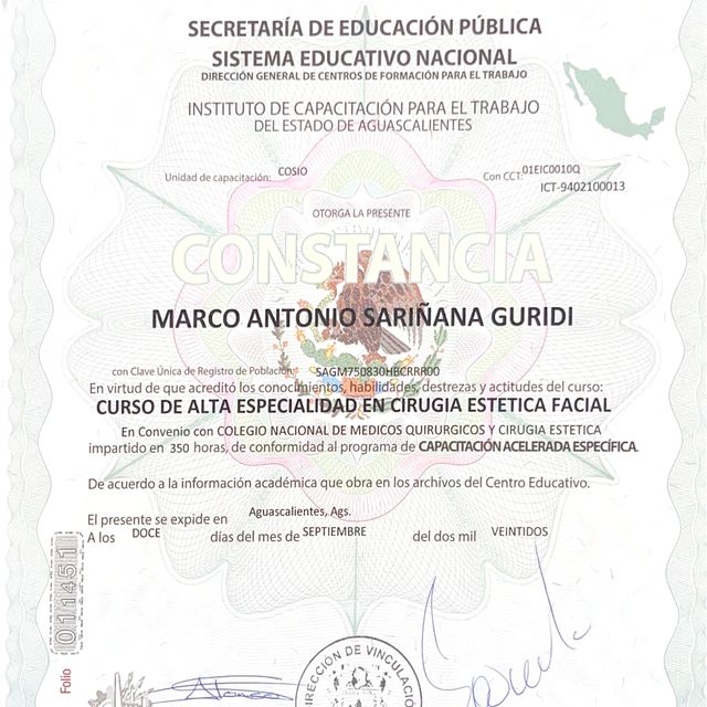 Ampliar imagen: certificate 6