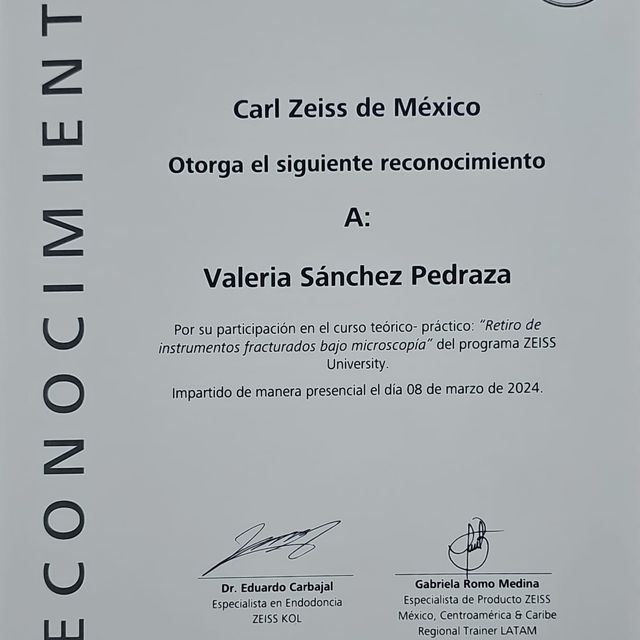 Ampliar imagen: certificate 4