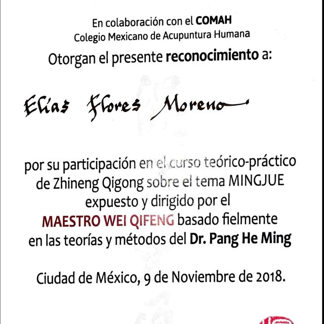 Ampliar imagen: certificate 5