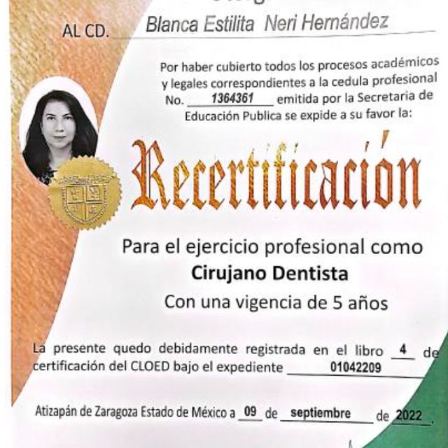 Ampliar imagen: certificate 2
