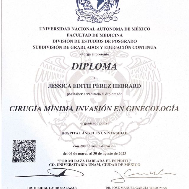 Ampliar imagen: certificate 3