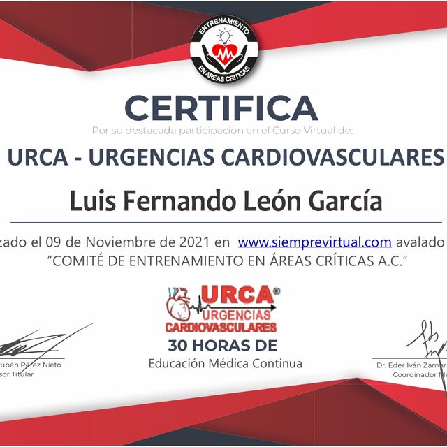 Ampliar imagen: certificate 1