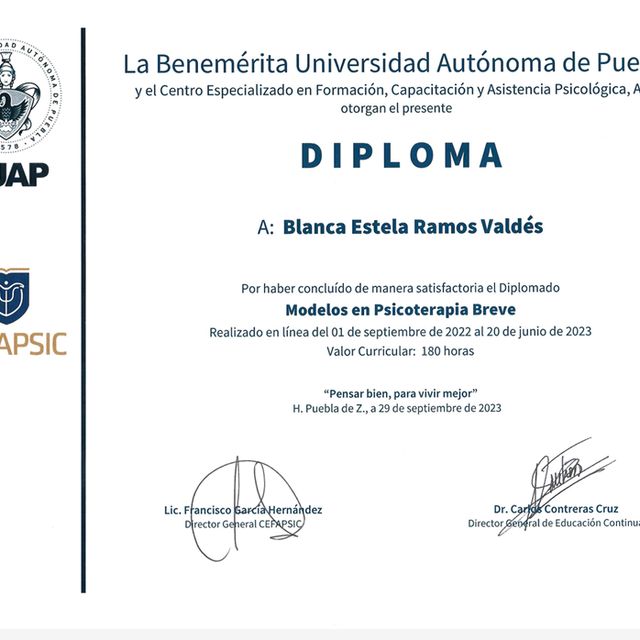 Ampliar imagen: certificate 3