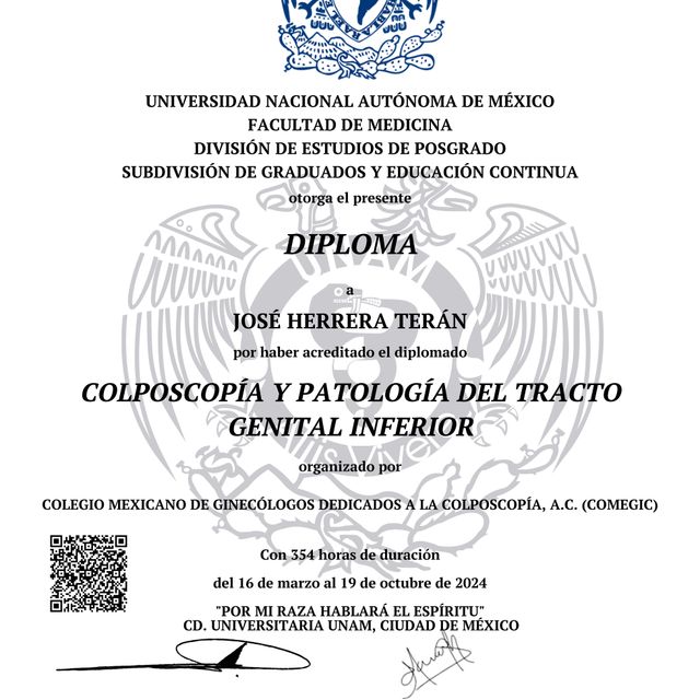 Ampliar imagen: certificate 3
