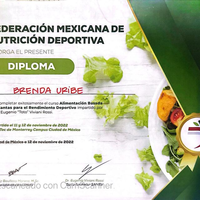 Ampliar imagen: certificate 2