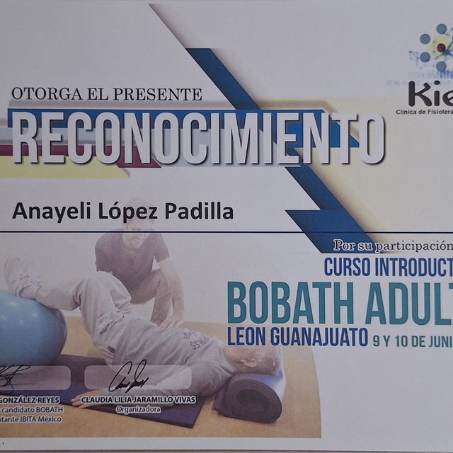 Ampliar imagen: certificate 13