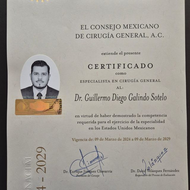 Ampliar imagen: certificate 1