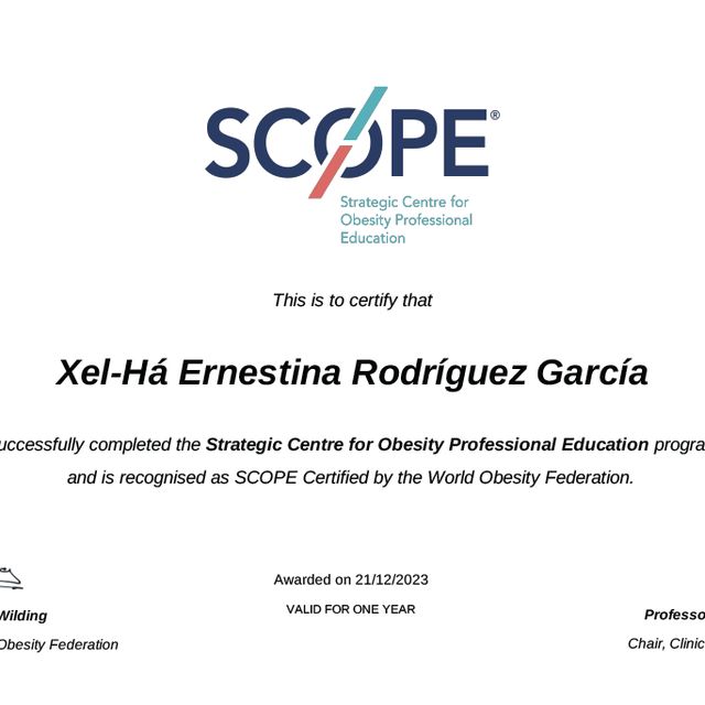 Ampliar imagen: certificate 3