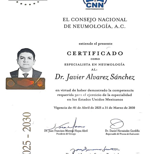 Ampliar imagen: certificate 1