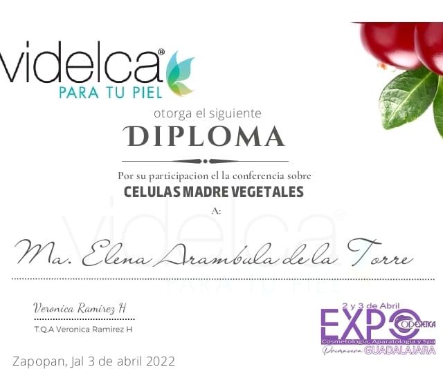 Ampliar imagen: certificate 14