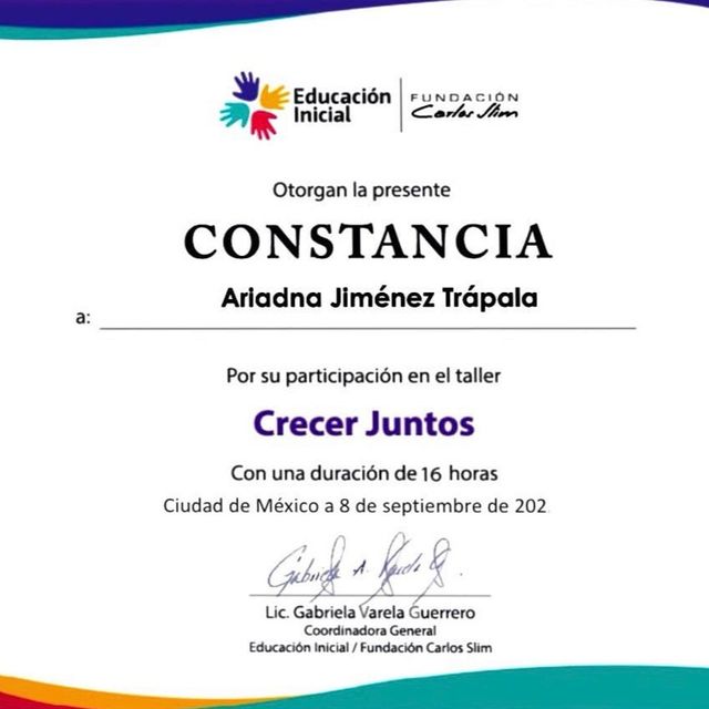 Ampliar imagen: certificate 10