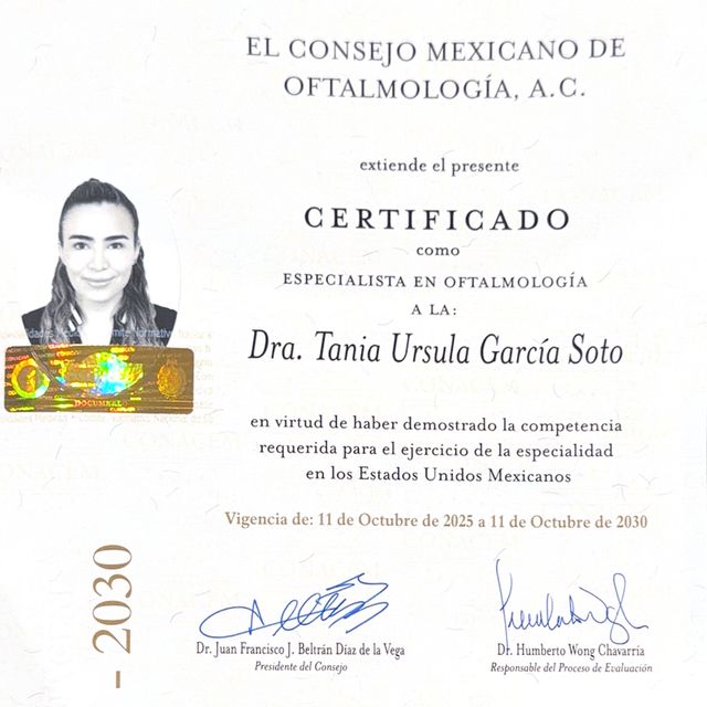 Ampliar imagen: certificate 2
