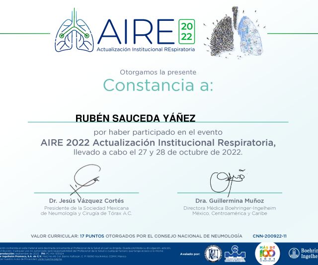 Ampliar imagen: certificate 15
