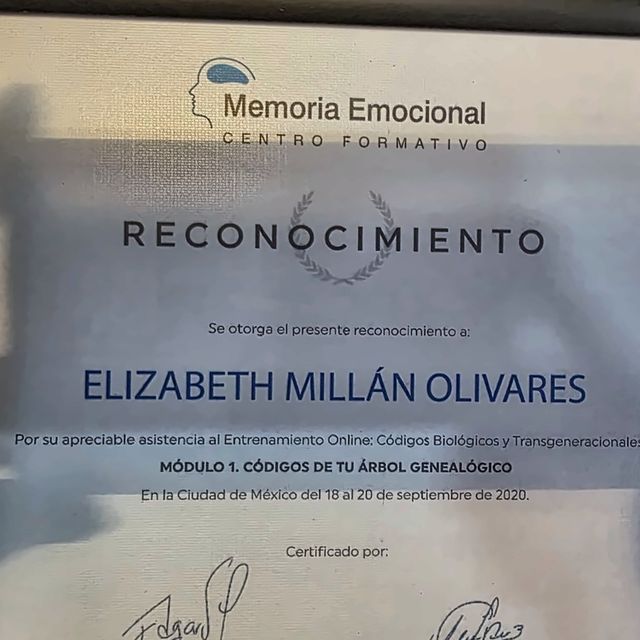 Ampliar imagen: certificate 7