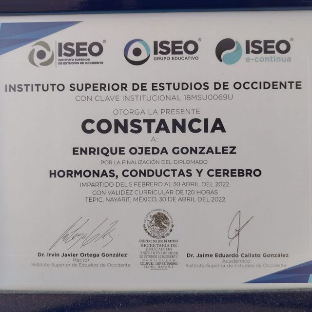 Ampliar imagen: certificate 5