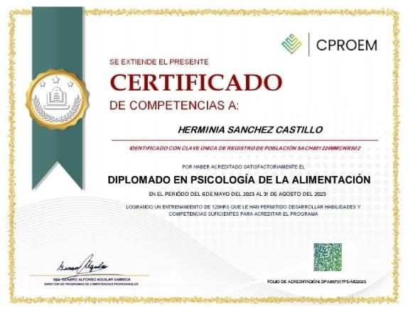 Ampliar imagen: certificate 4