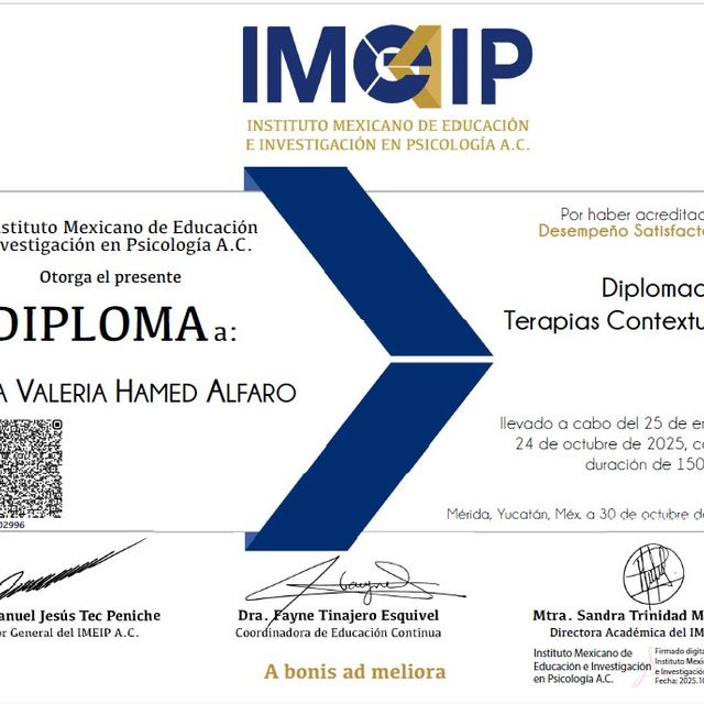Ampliar imagen: certificate 3