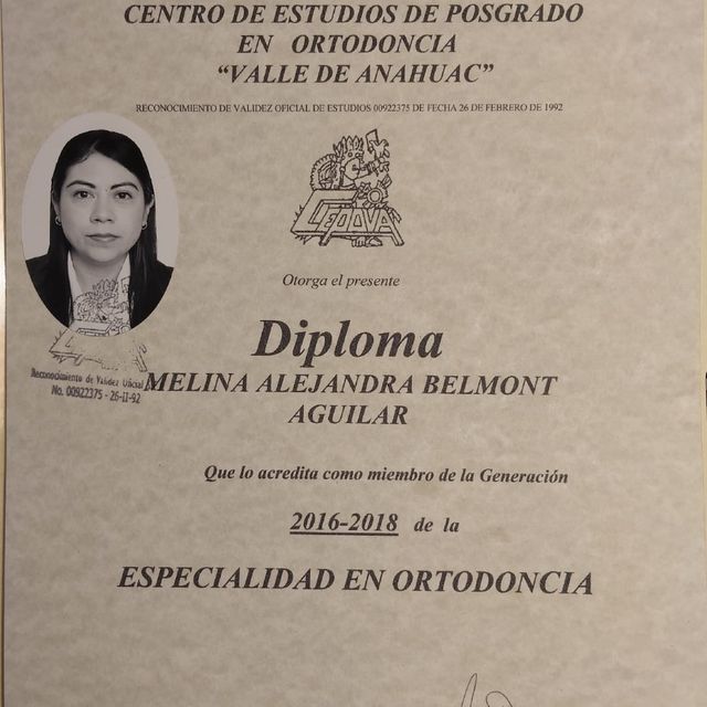 Ampliar imagen: certificate 1