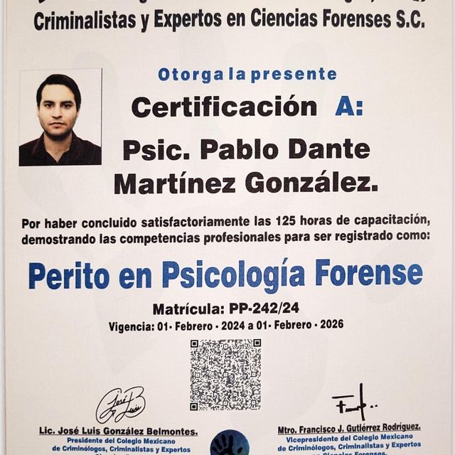 Ampliar imagen: certificate 3