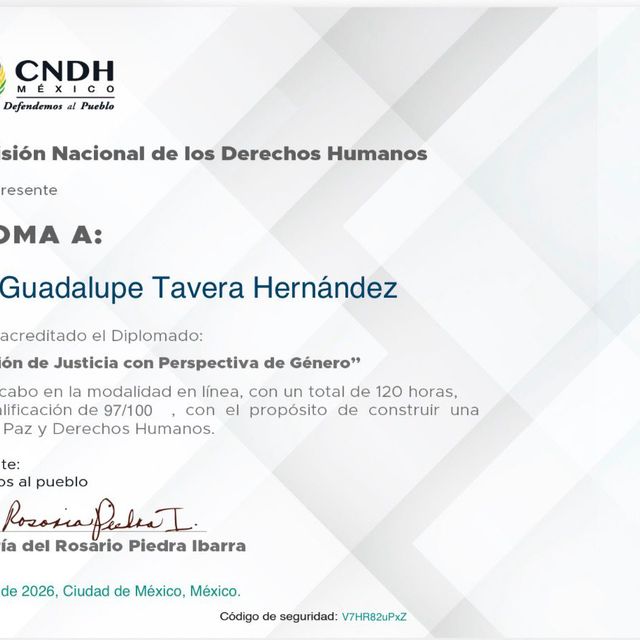 Ampliar imagen: certificate 87