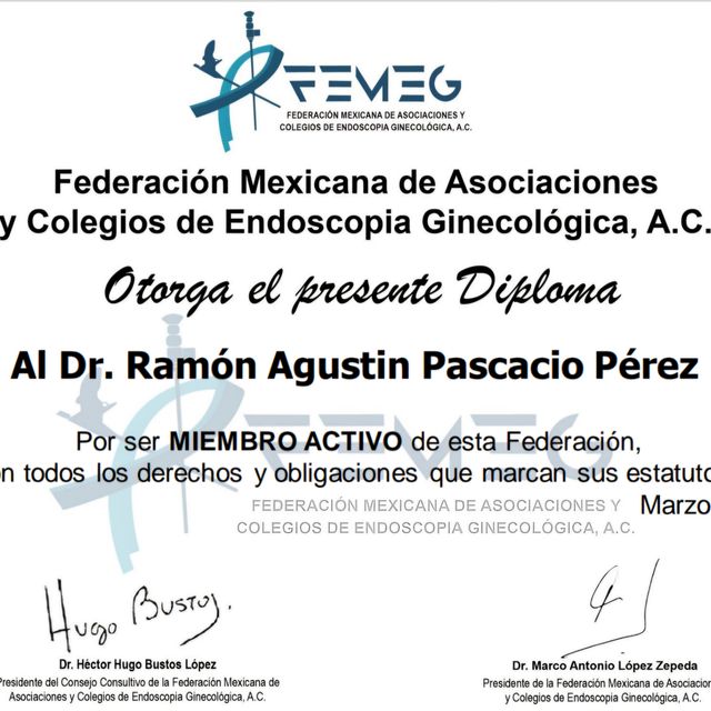 Ampliar imagen: certificate 22