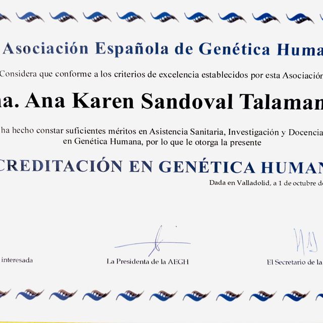 Ampliar imagen: certificate 5