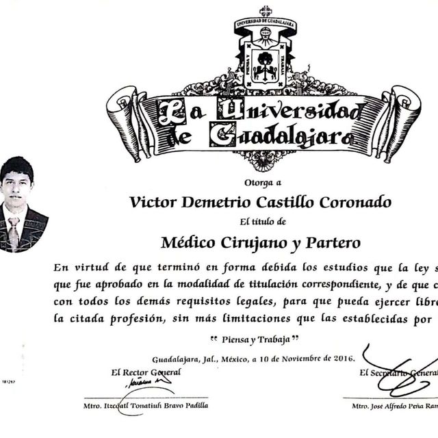 Ampliar imagen: certificate 4