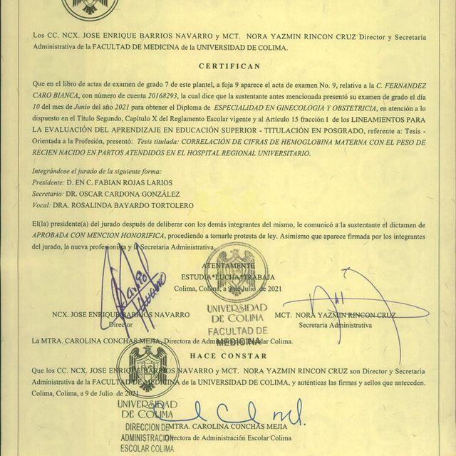 Ampliar imagen: certificate 2