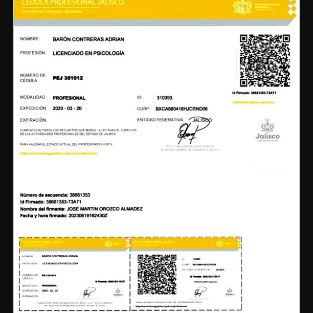 Ampliar imagen: certificate 2