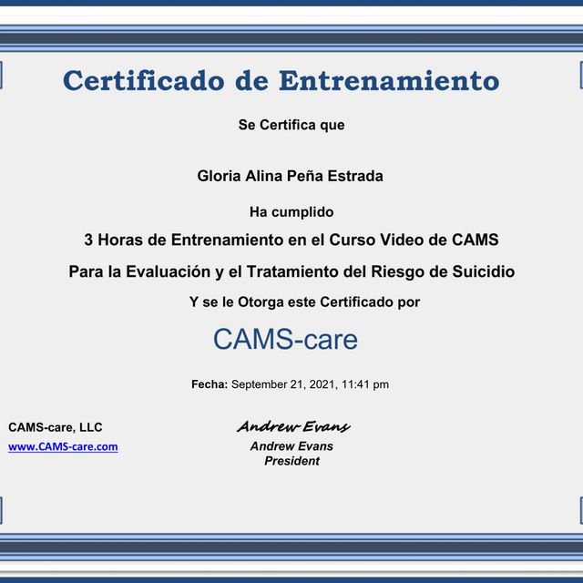 Ampliar imagen: certificate 8