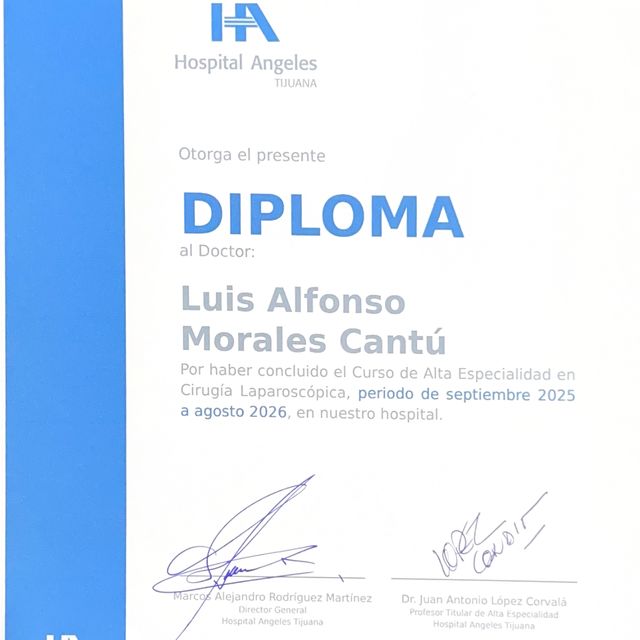 Ampliar imagen: certificate 3