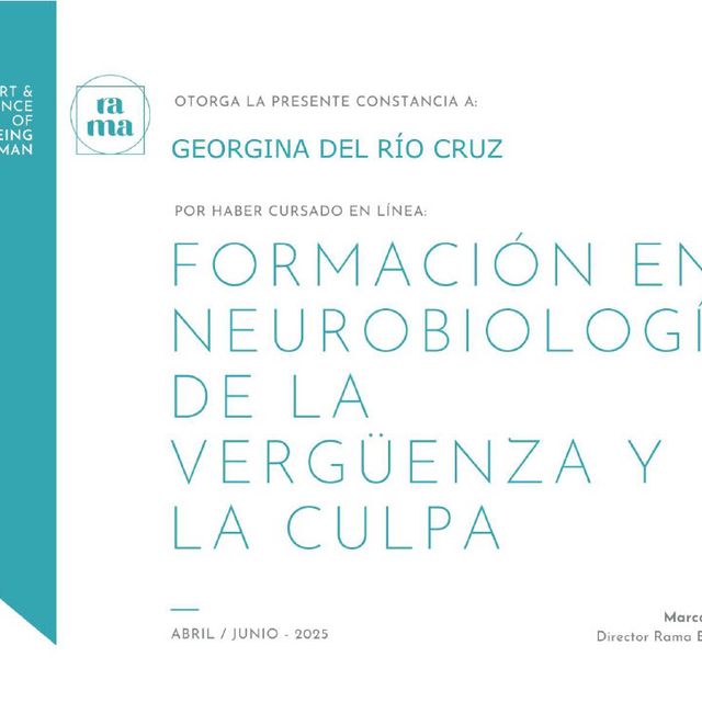 Ampliar imagen: certificate 9