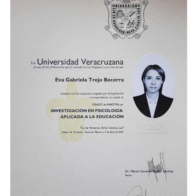 Ampliar imagen: certificate 3