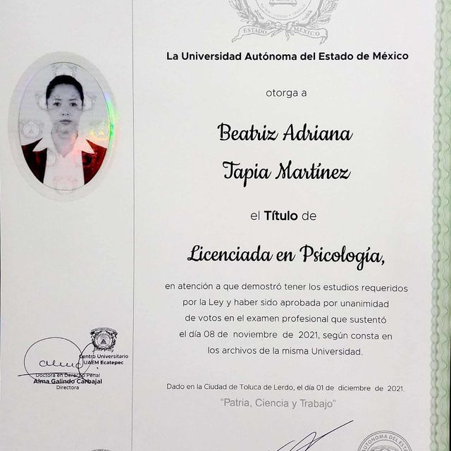 Ampliar imagen: certificate 1