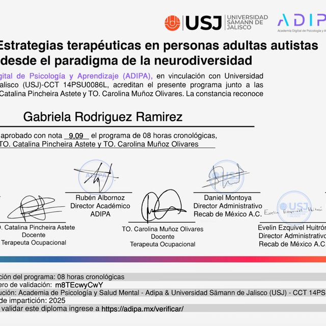 Ampliar imagen: certificate 4