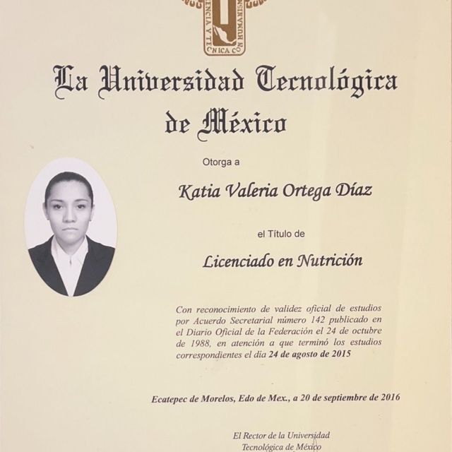 Ampliar imagen: certificate 2