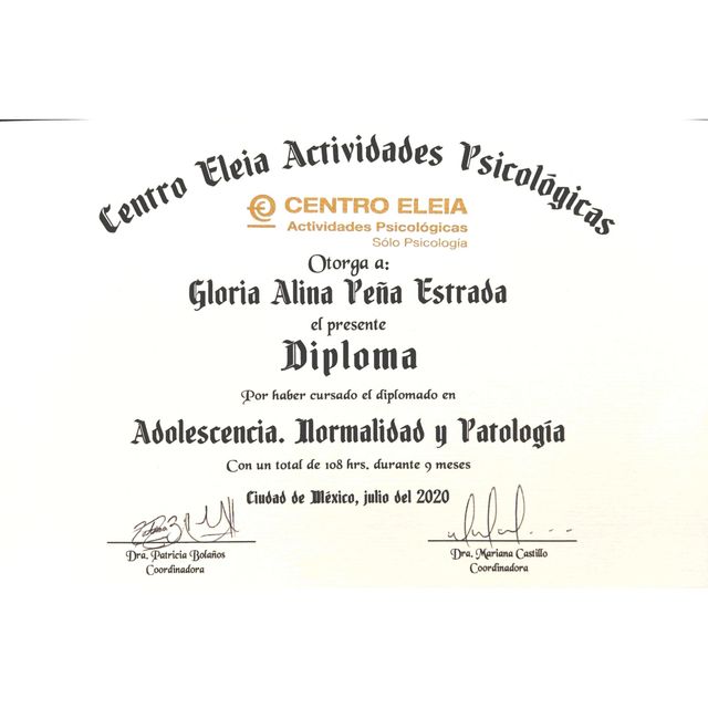 Ampliar imagen: certificate 19