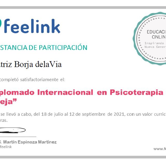 Ampliar imagen: certificate 2
