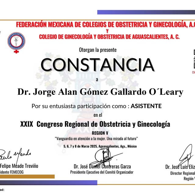 Ampliar imagen: certificate 13