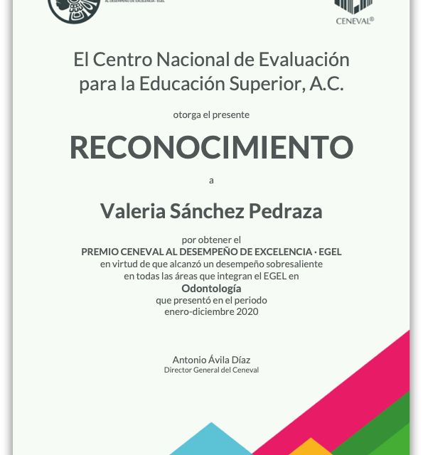 Ampliar imagen: certificate 2