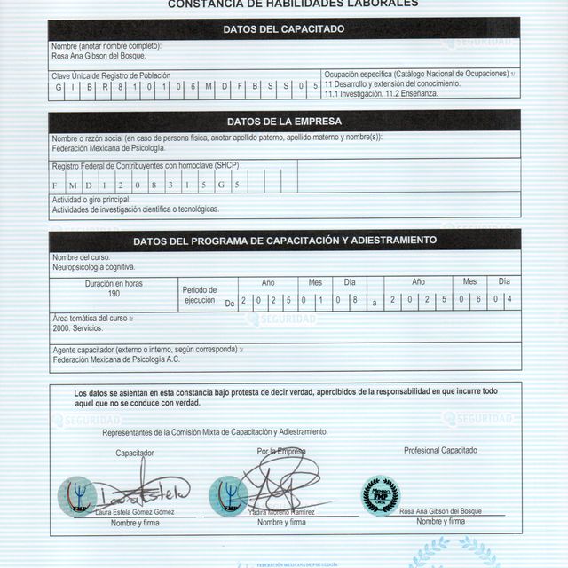 Ampliar imagen: certificate 3