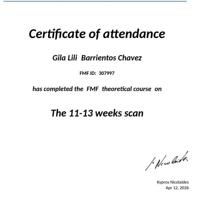 Ampliar imagen: certificate 5