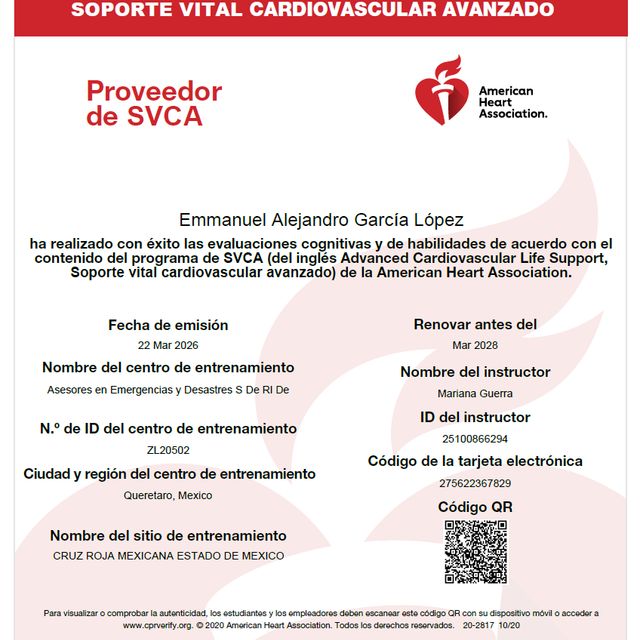 Ampliar imagen: certificate 4