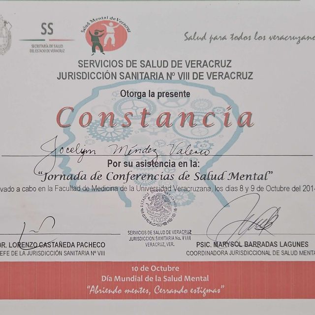 Ampliar imagen: certificate 17