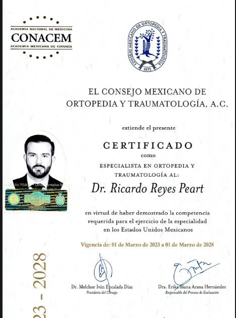 Ampliar imagen: certificate 1