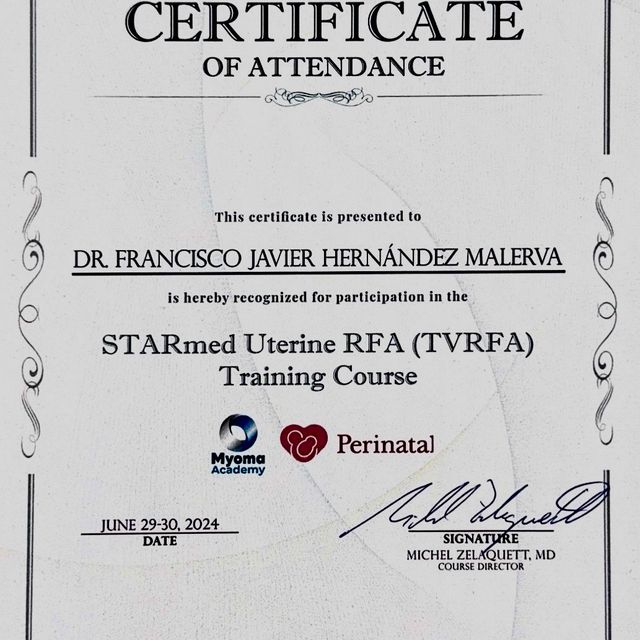 Ampliar imagen: certificate 3