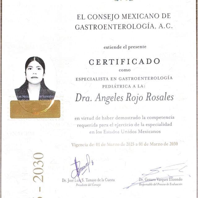 Ampliar imagen: certificate 1
