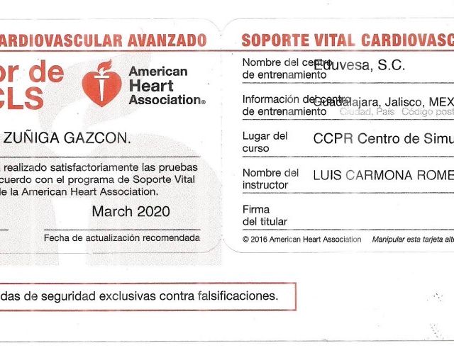 Ampliar imagen: certificate 1