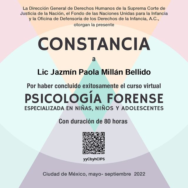 Ampliar imagen: certificate 4