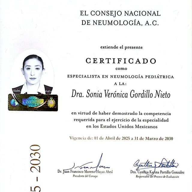 Ampliar imagen: certificate 20